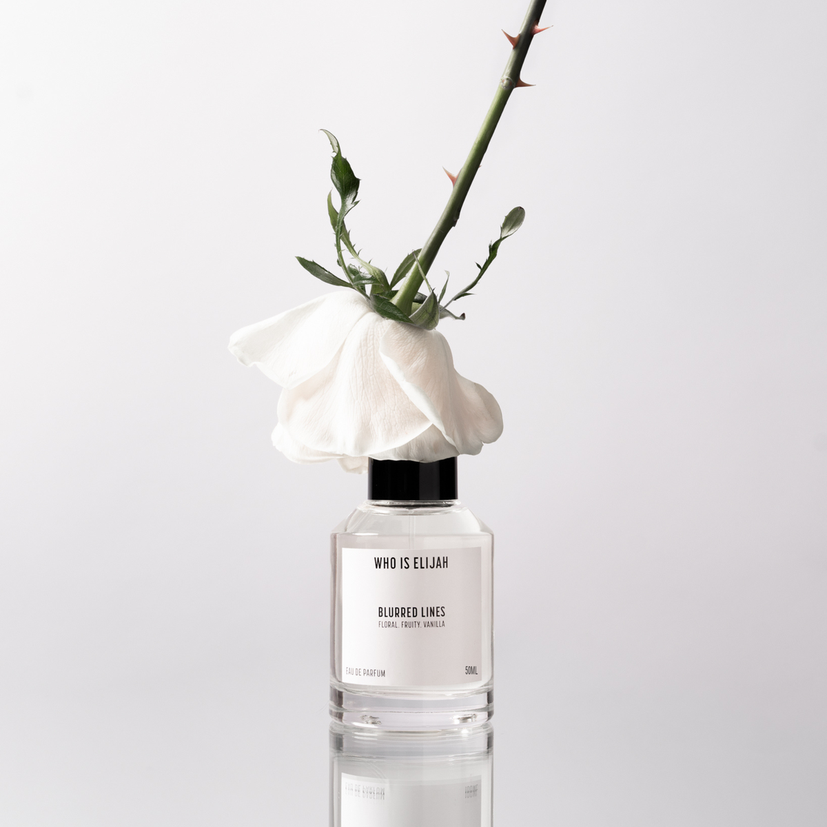 BLURRED LINES 50ml Eau de Parfum