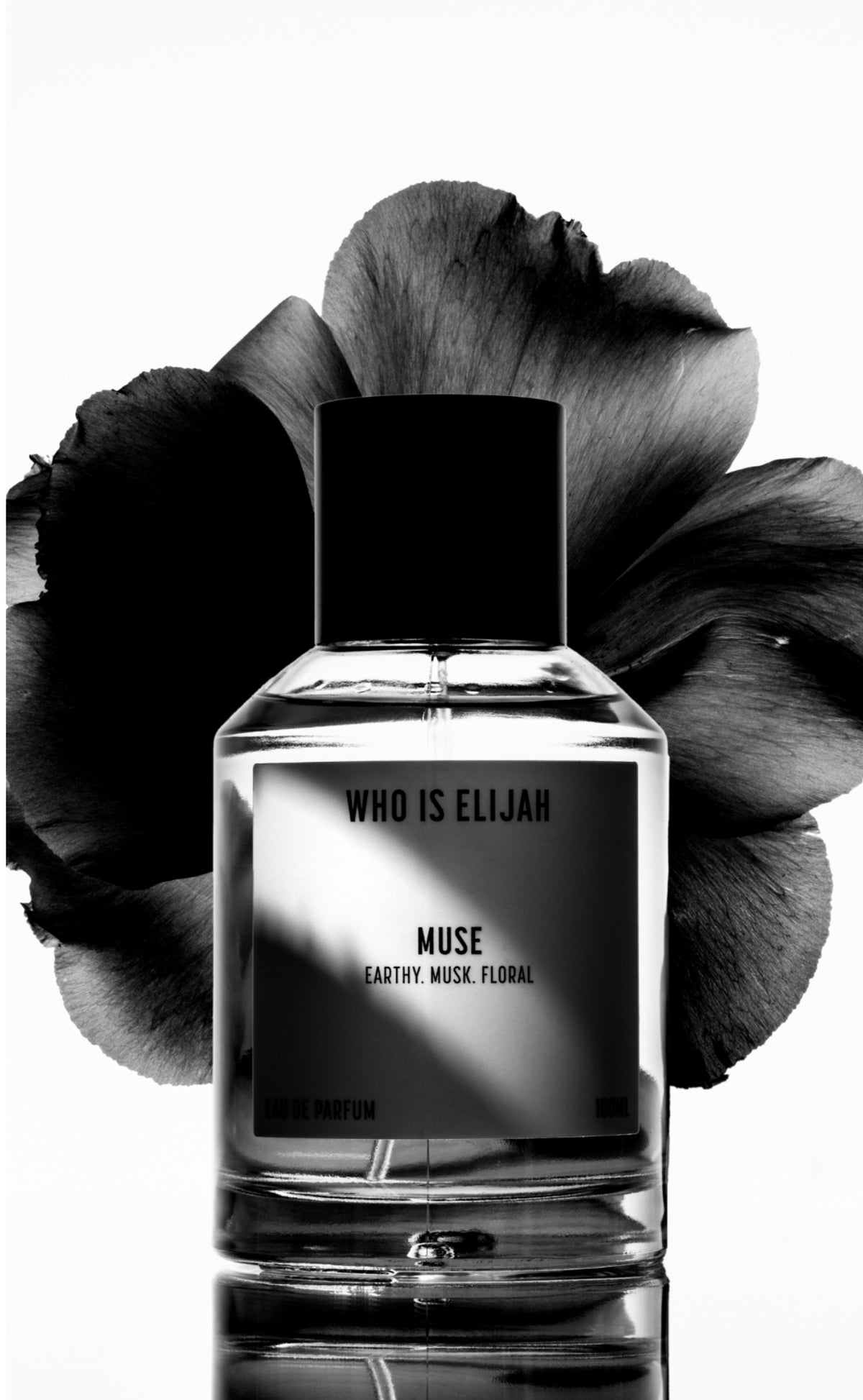 MUSE - 100ML
